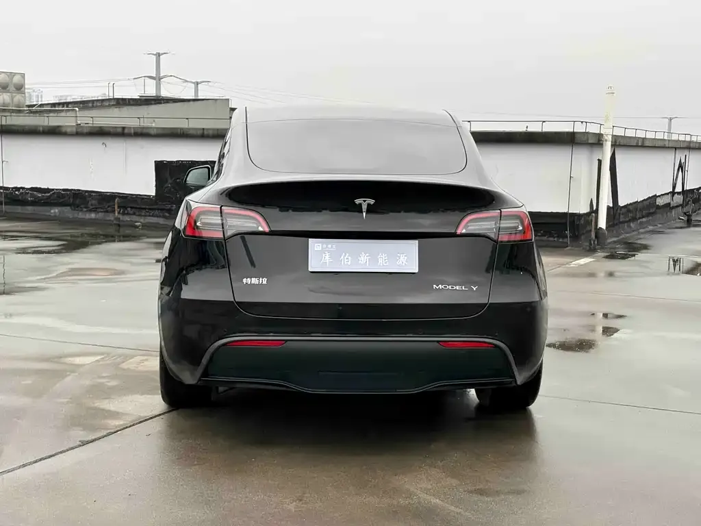 Tesla Model Y — фото 3