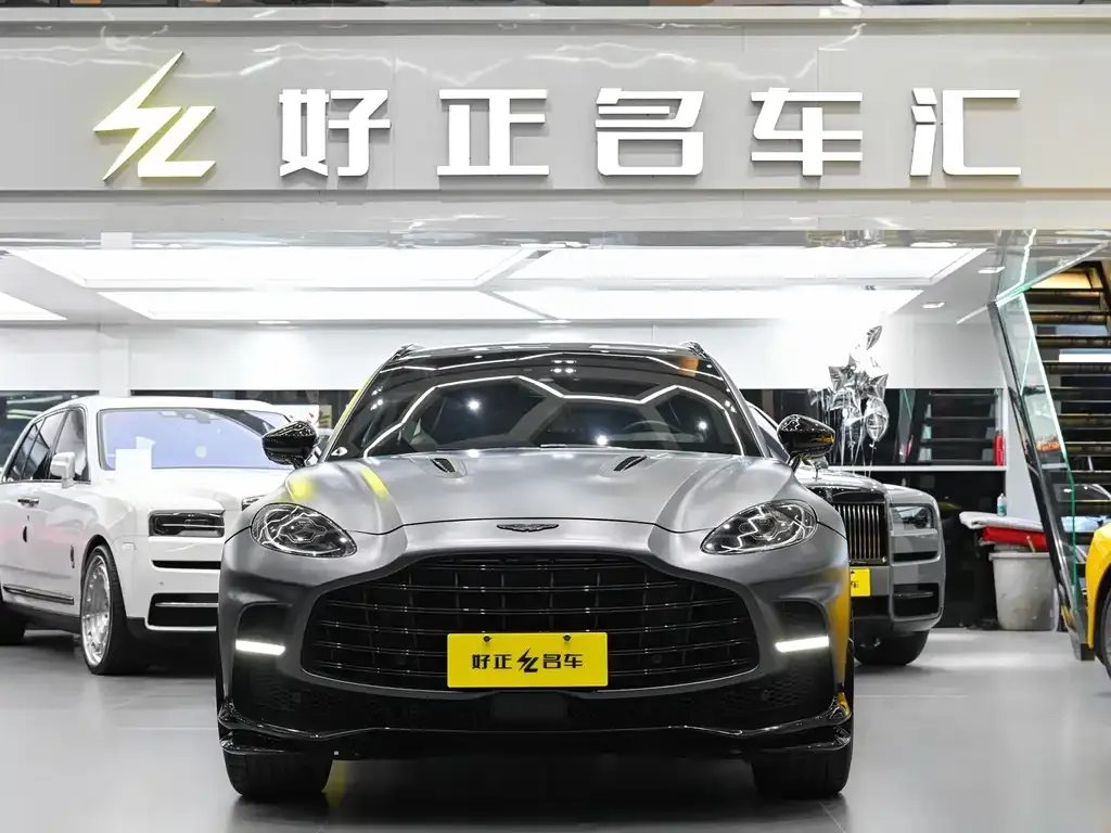 Aston Martin DBX 2024 из CN, фото 8