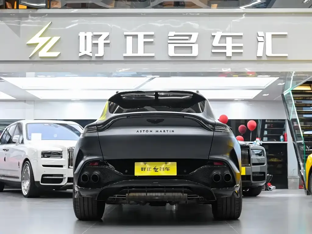 Aston Martin DBX 2024 из CN, фото 6