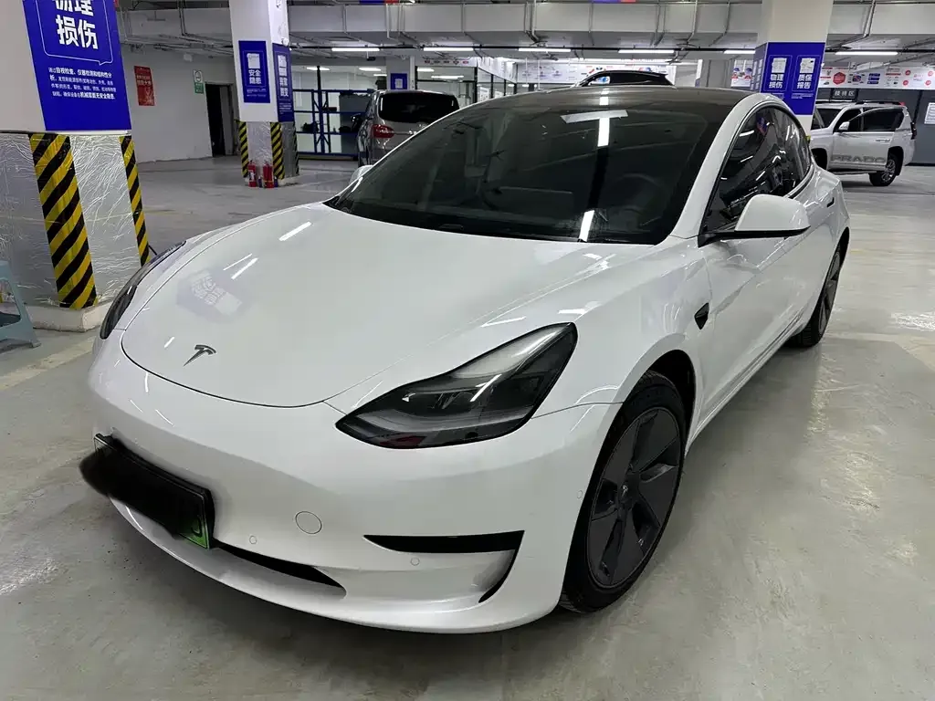 Tesla Model 3 2021 из CN, фото 1