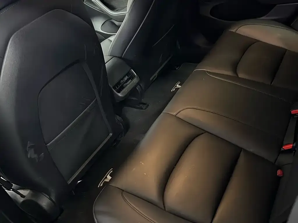 Tesla Model 3 2021 из CN, фото 5