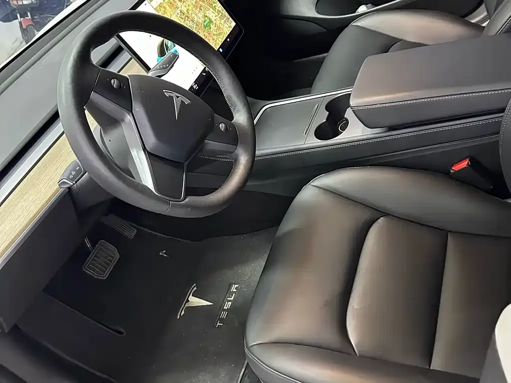 Tesla Model 3 2021 из CN, фото 3