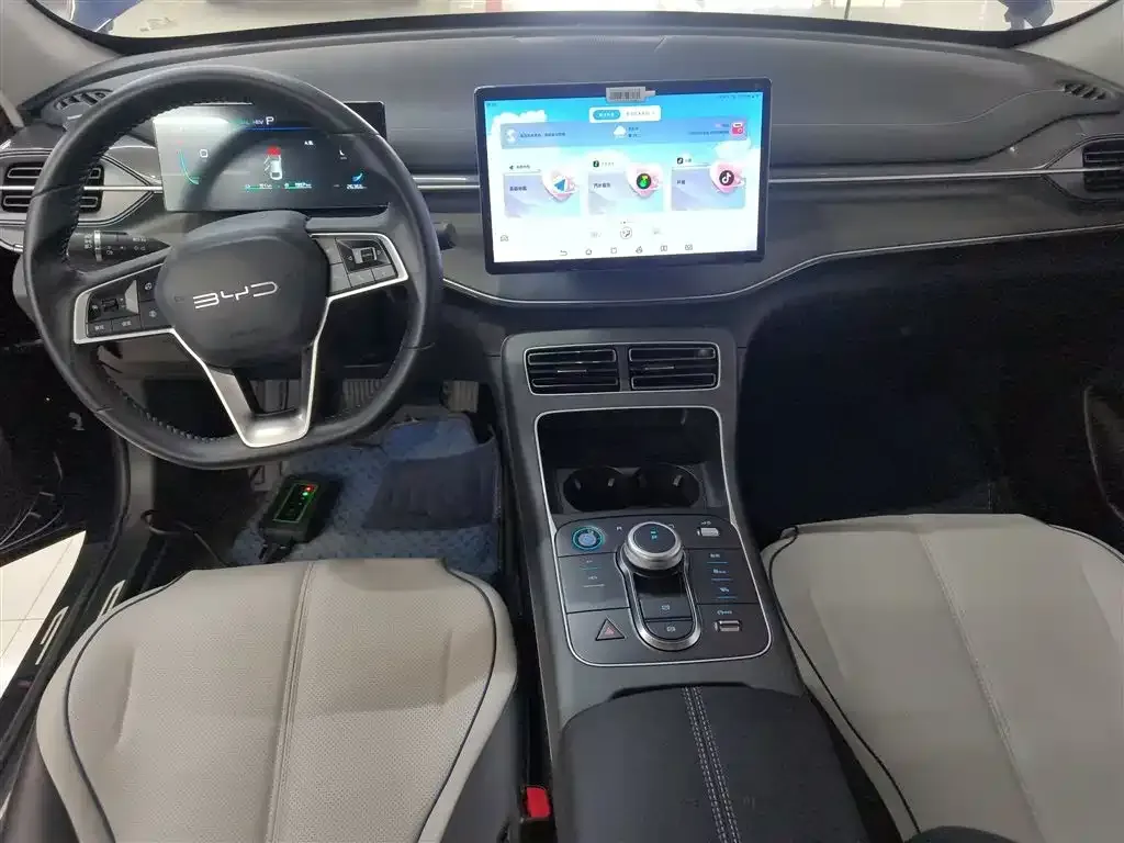 BYD Destroyer 05 2023 из CN, фото 8