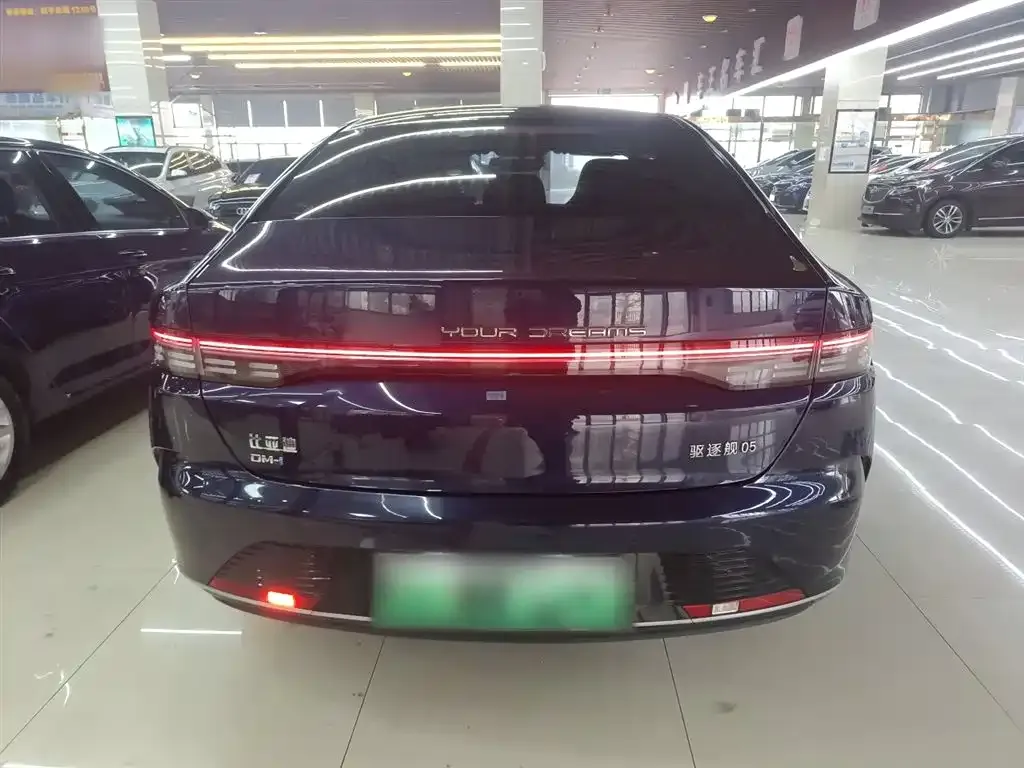 BYD Destroyer 05 2023 из CN, фото 7