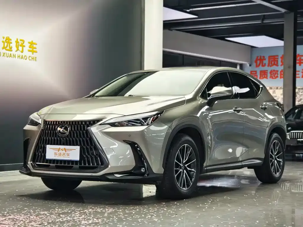 Lexus NX 2023 из CN, фото 1