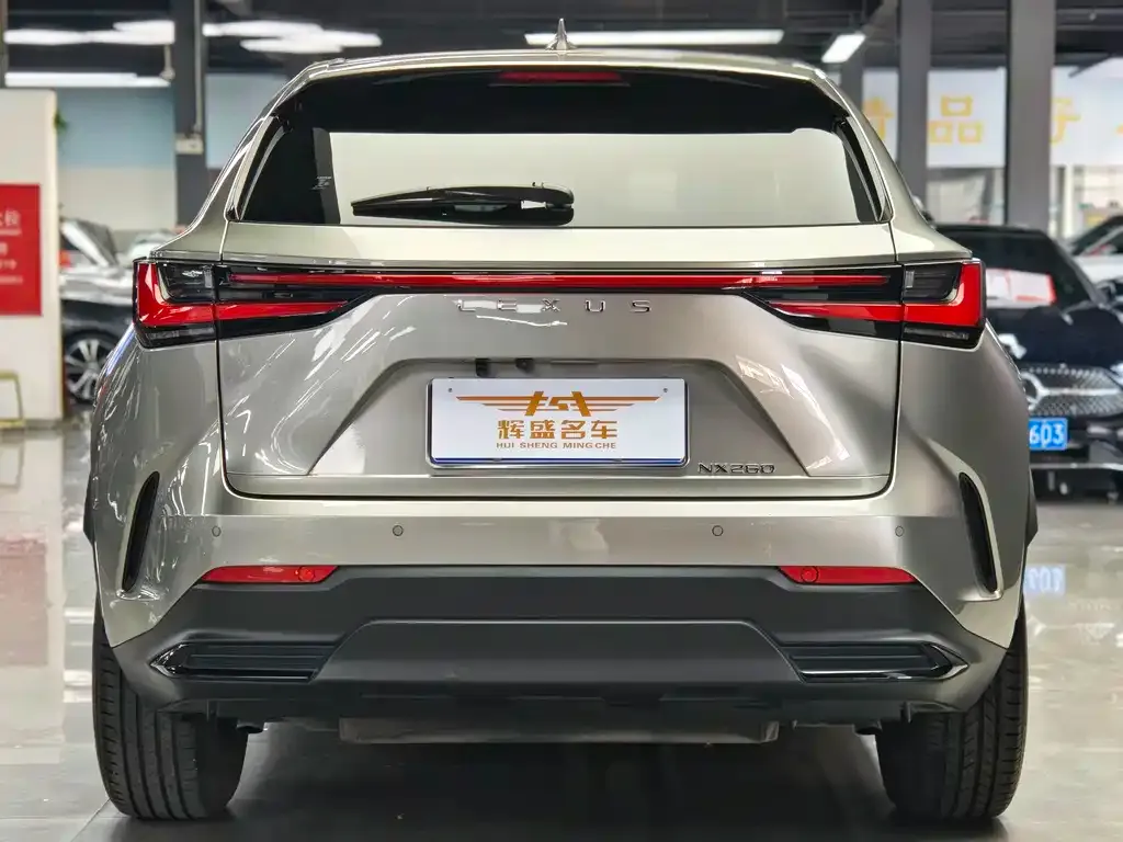Lexus NX 2023 из CN, фото 3