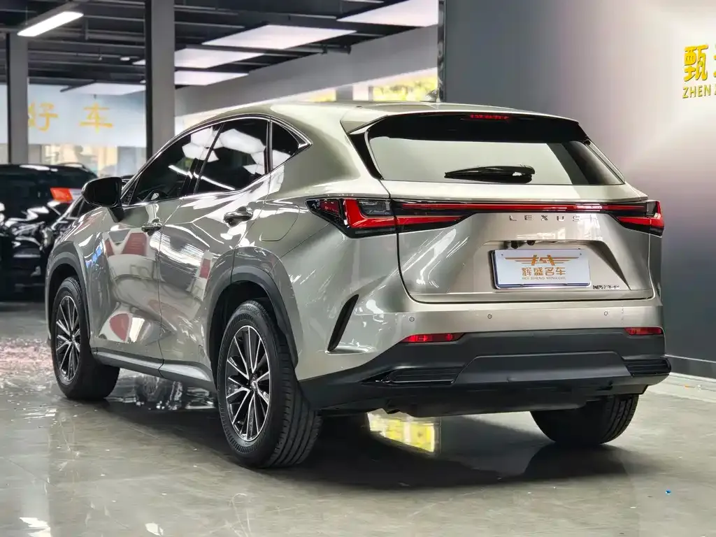 Lexus NX 2023 из CN, фото 6