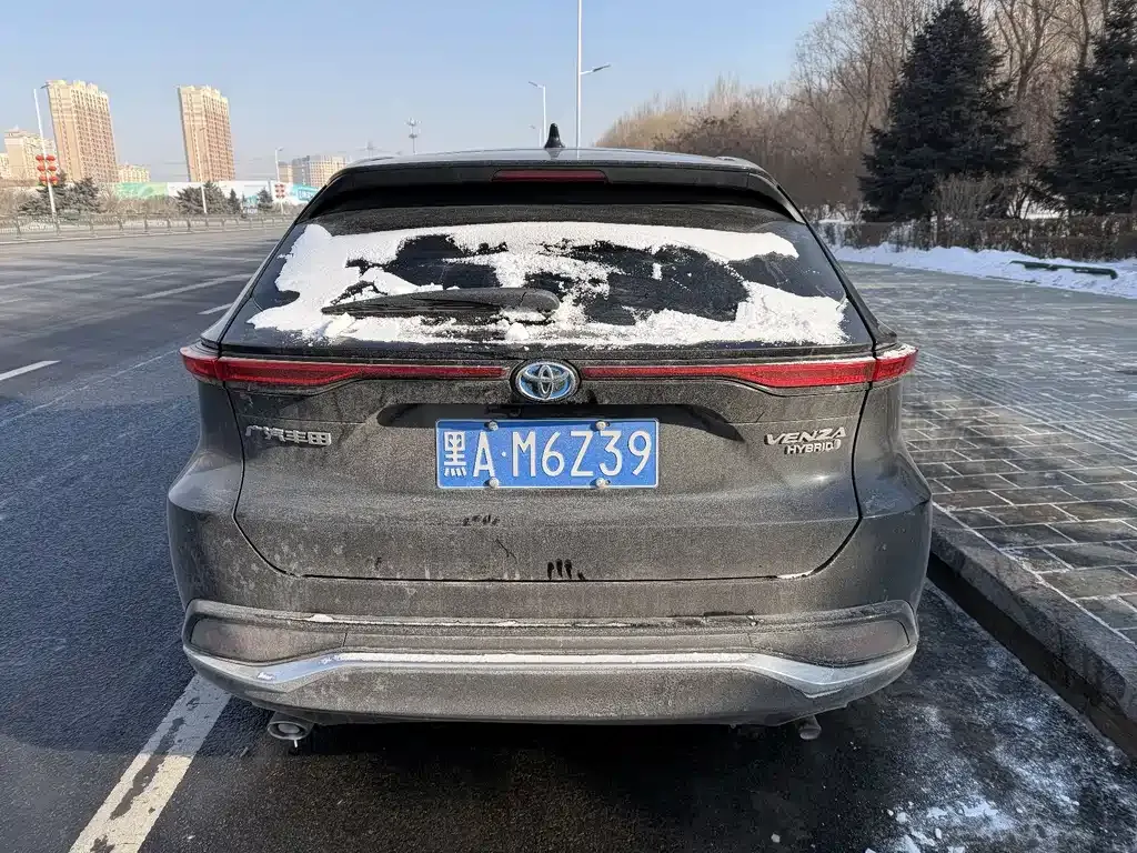 Toyota Venza 2023 из CN, фото 8