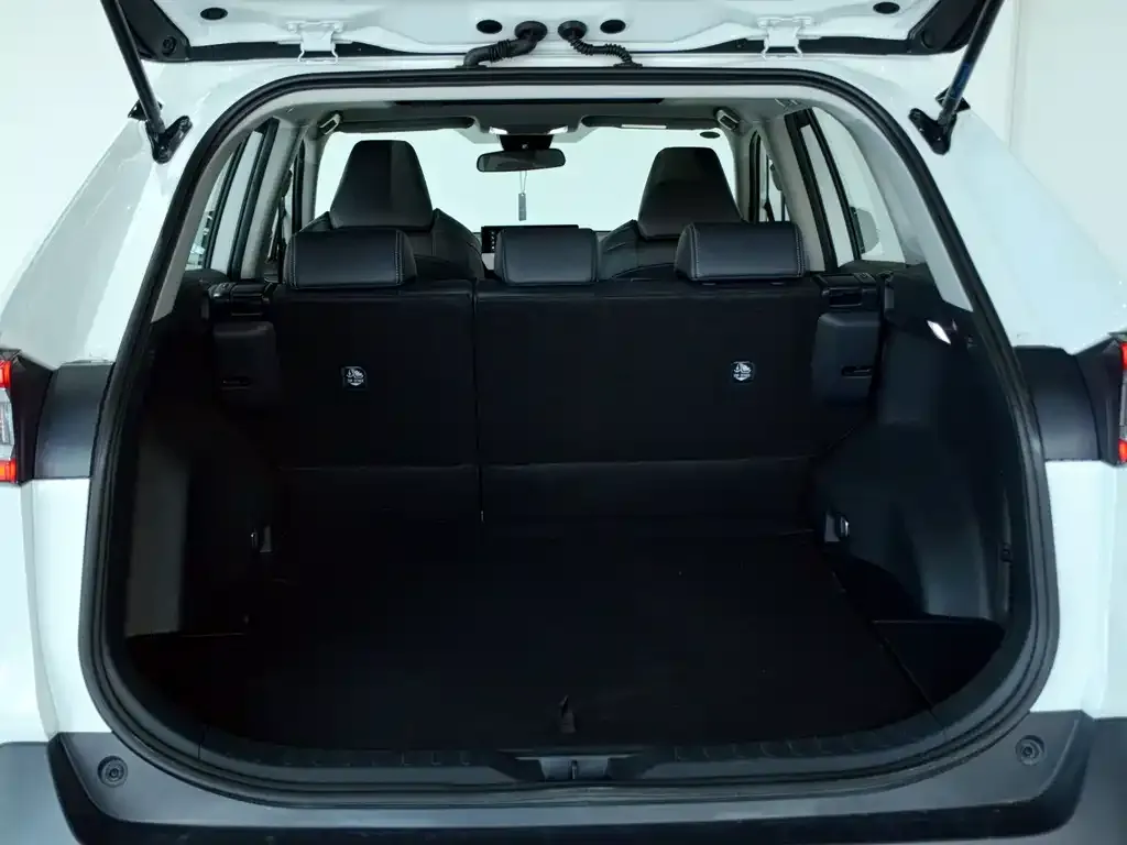 Toyota Wildlander 2023 из CN, фото 4