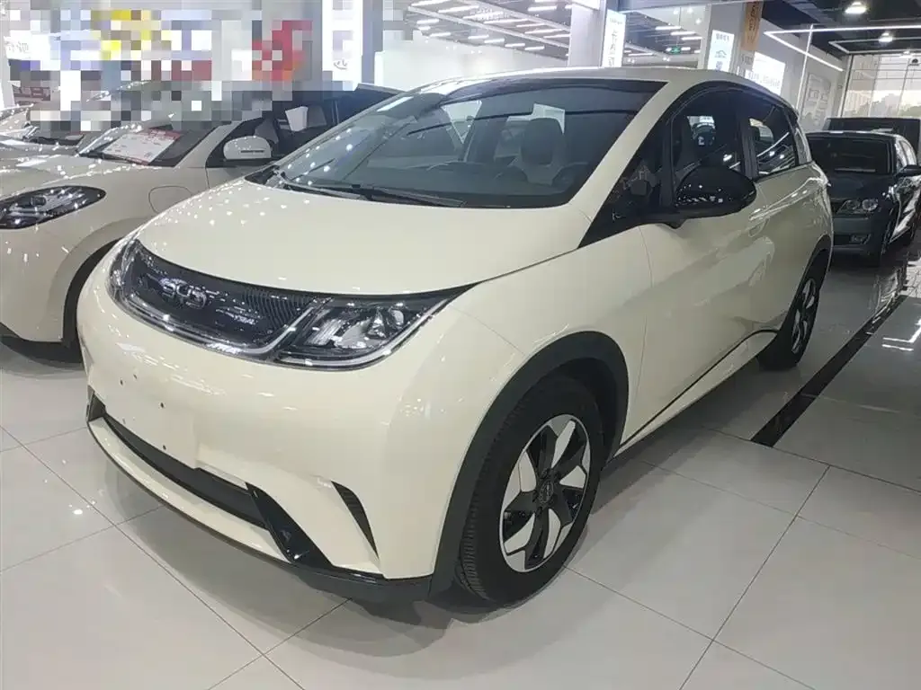 BYD Dolphin 2024 из CN, фото 6