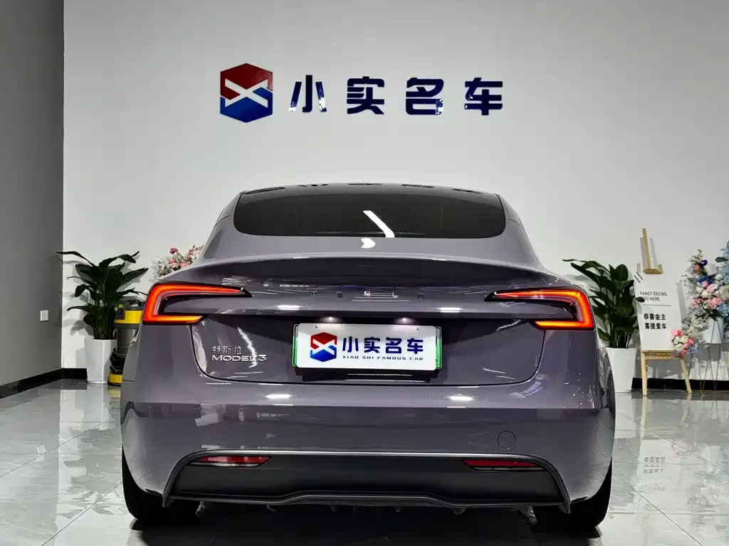 Tesla Model 3 2025 из CN, фото 3