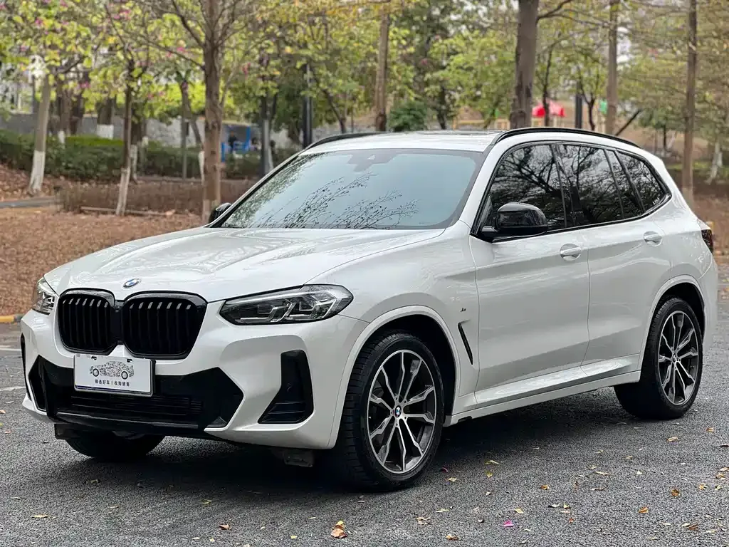 BMW X3 2022 из CN, фото 1