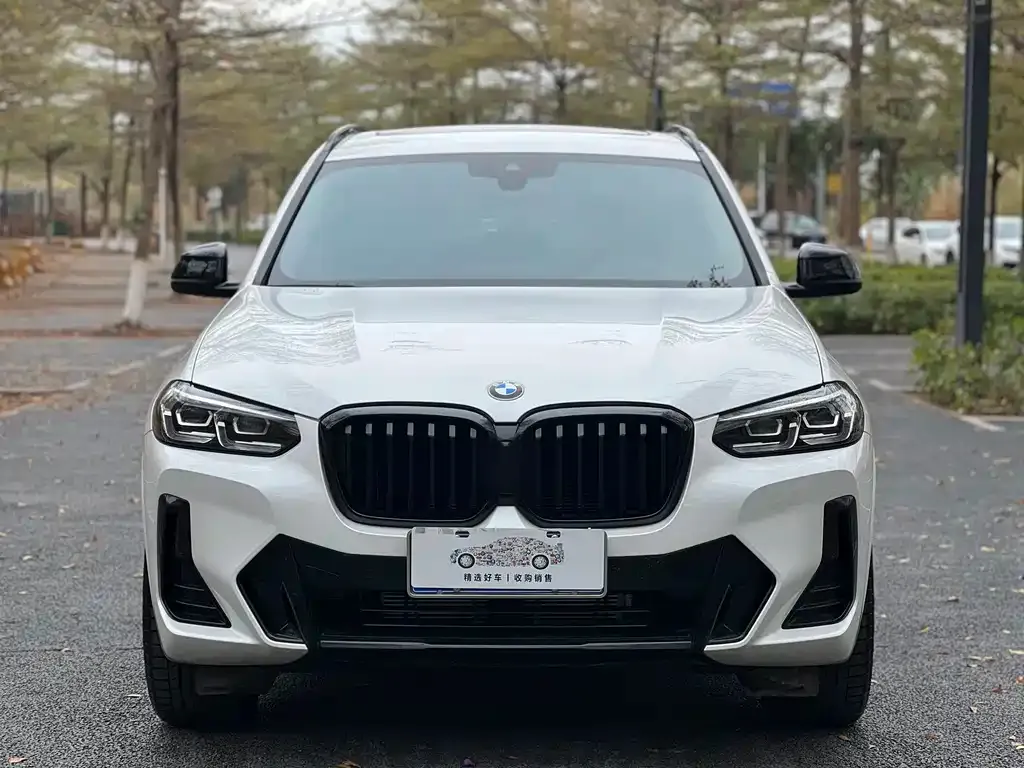 BMW X3 2022 из CN, фото 4