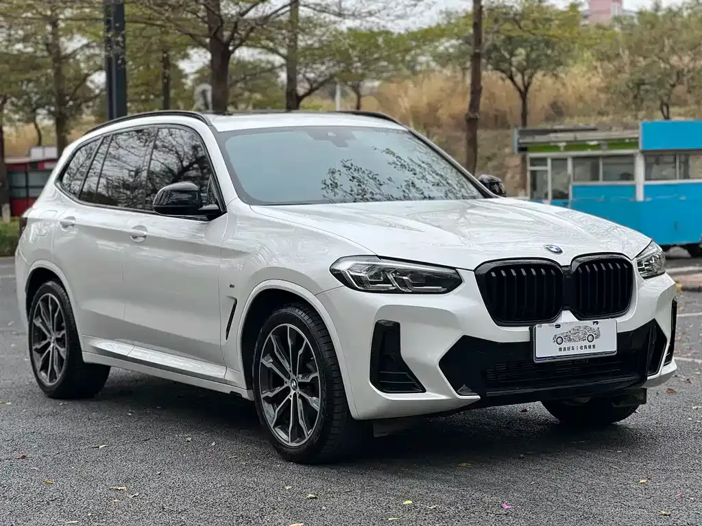 BMW X3 2022 из CN, фото 9