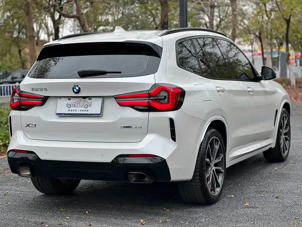 BMW X3 2022 из CN, фото 3