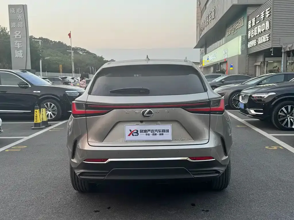 Lexus NX 2025 из CN, фото 4