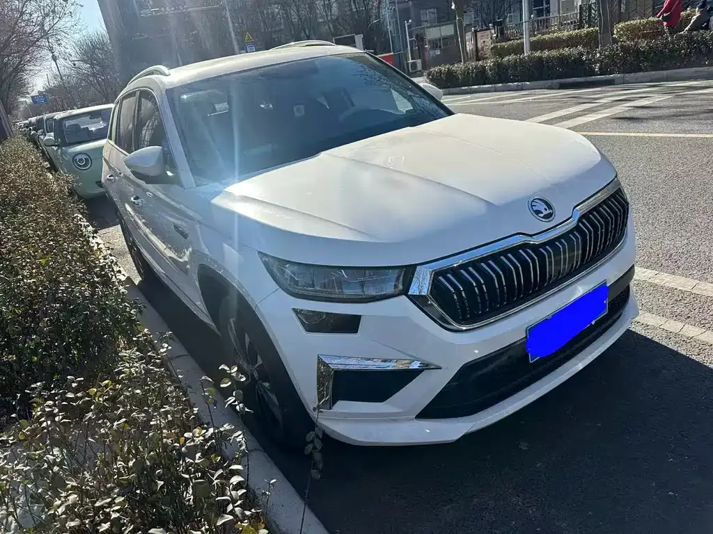 Skoda Kodiaq 2023 из CN, фото 10