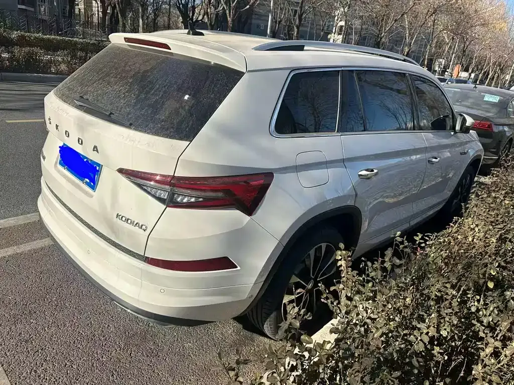 Skoda Kodiaq 2023 из CN, фото 9