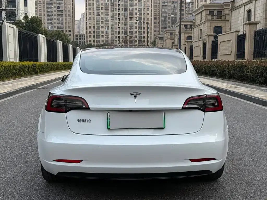 Tesla Model 3 2022 из CN, фото 8