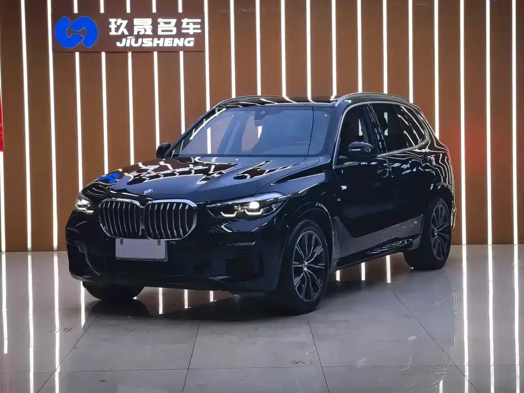 BMW X5 (Import) — фото 1