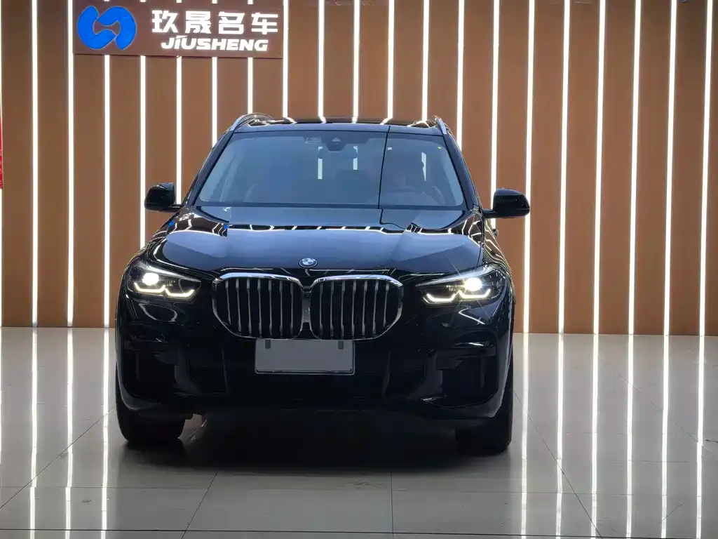 BMW X5 (Import) — фото 2
