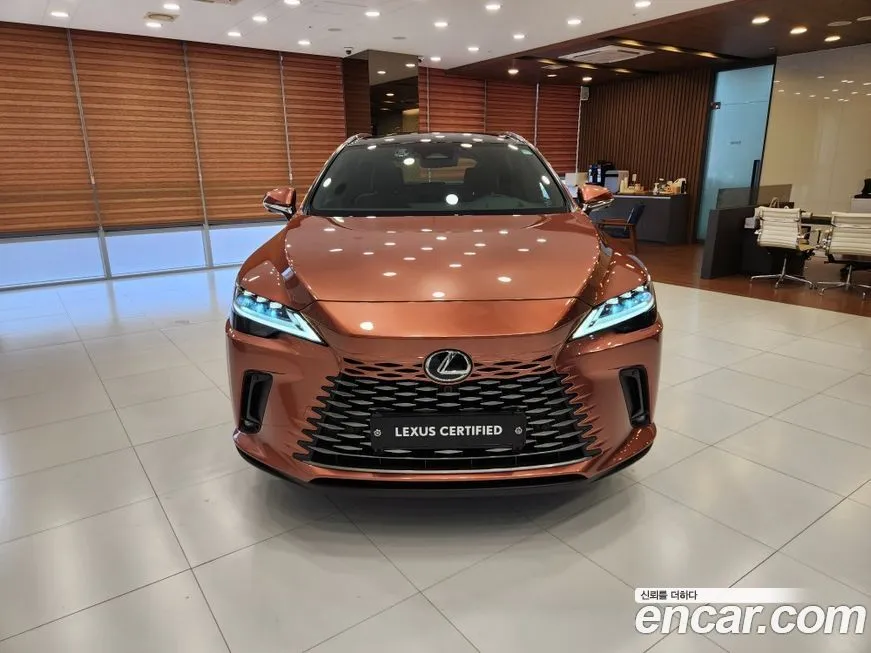 Lexus RX 2025 из KR, фото 5