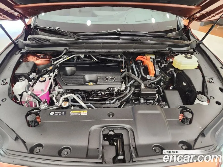Lexus RX 2025 из KR, фото 7
