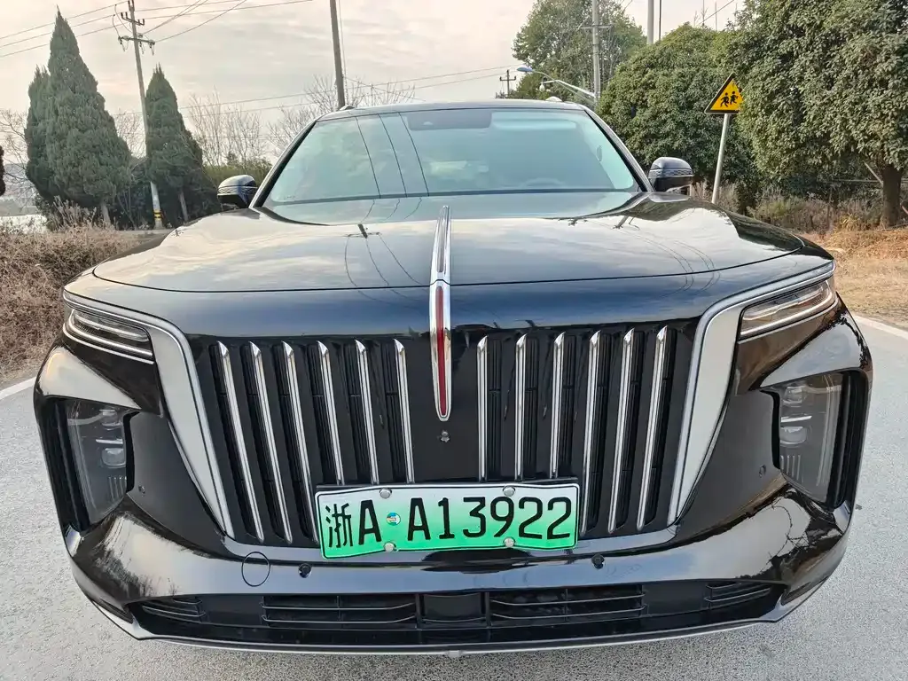 Hongqi E-HS9 — фото 1