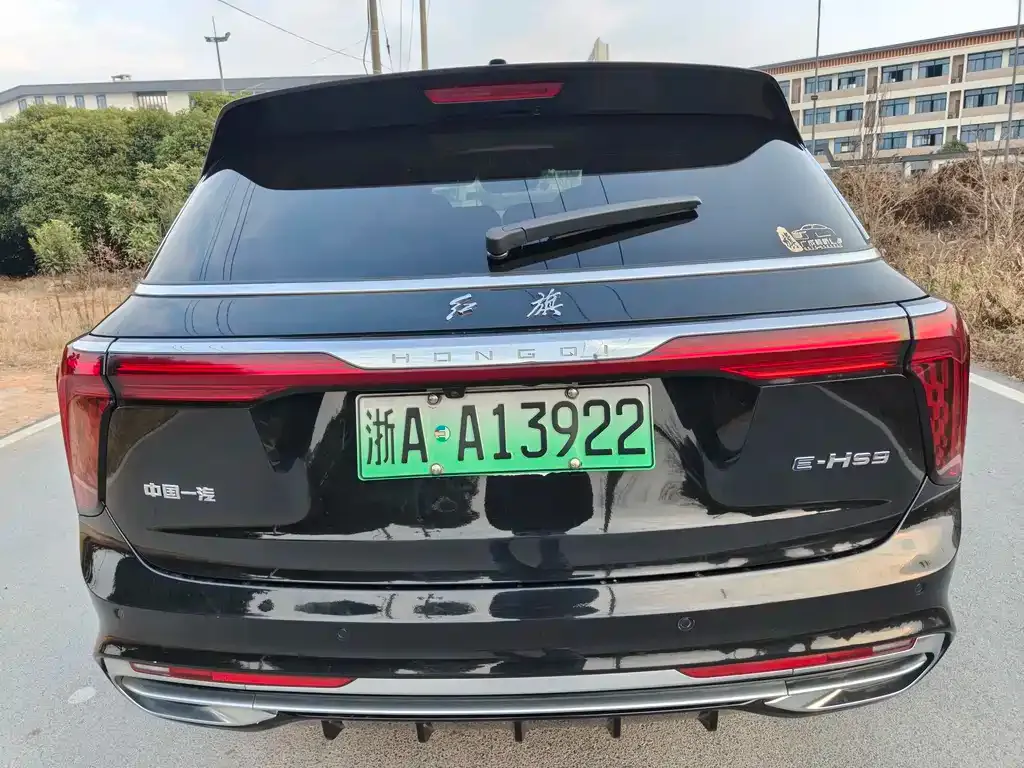 Hongqi E-HS9 — фото 10
