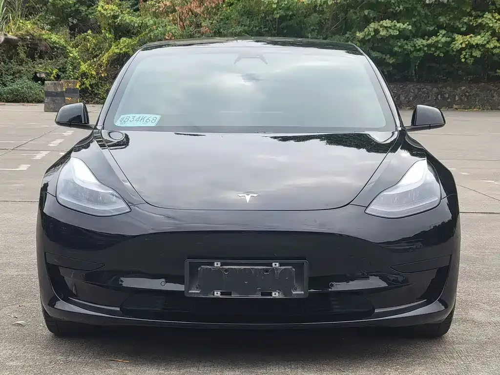 Tesla Model 3 — фото 6