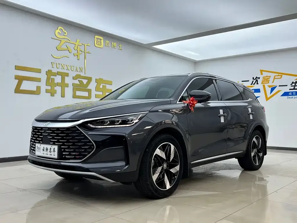 BYD Tang New Energy 2024 из CN, фото 1