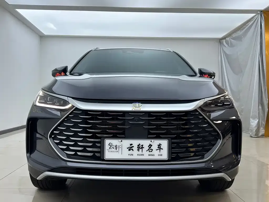BYD Tang New Energy 2024 из CN, фото 3