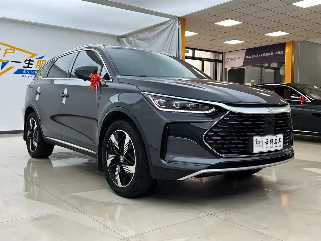 BYD Tang New Energy 2024 из CN, фото 4