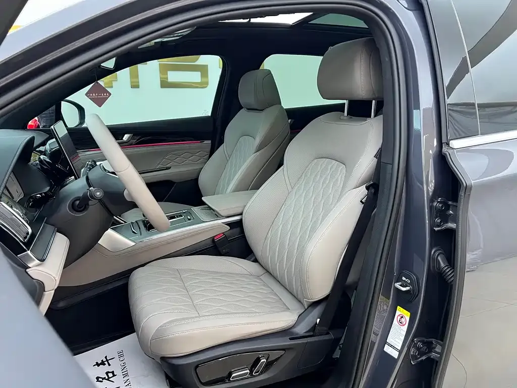 BYD Tang New Energy 2024 из CN, фото 9