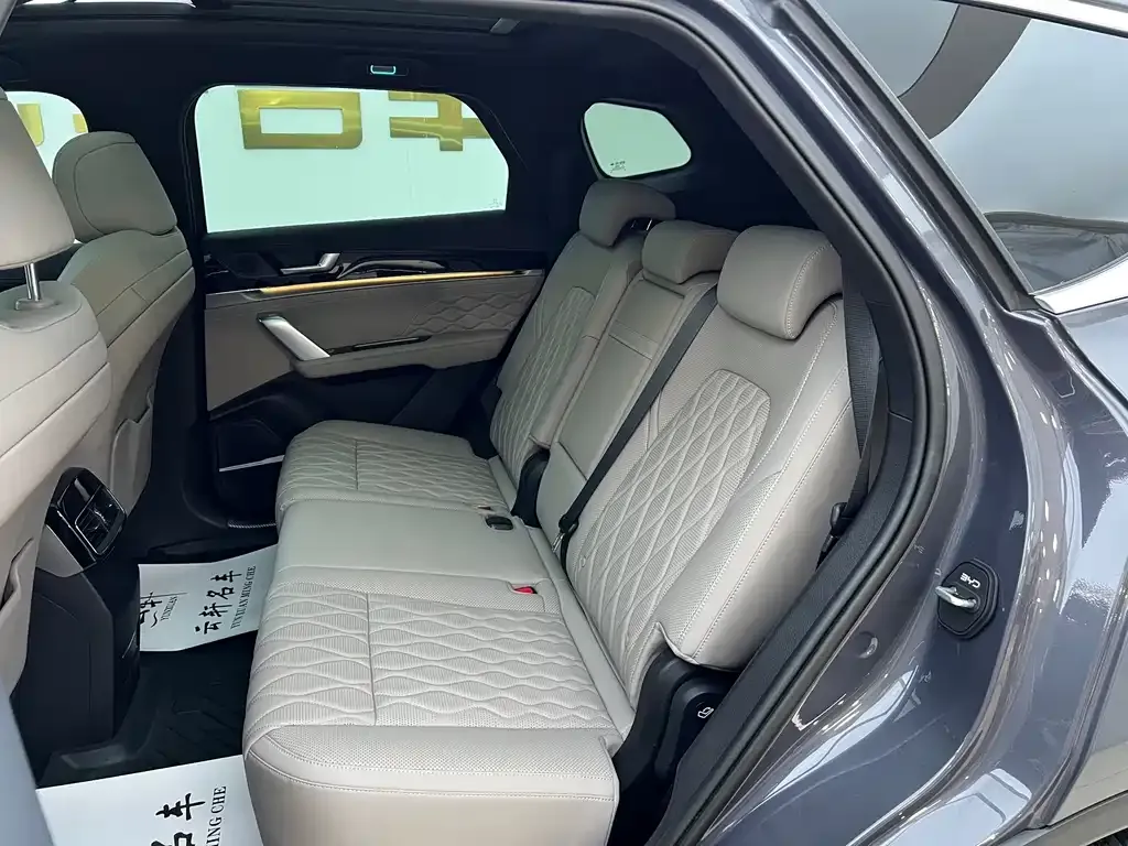 BYD Tang New Energy 2024 из CN, фото 7