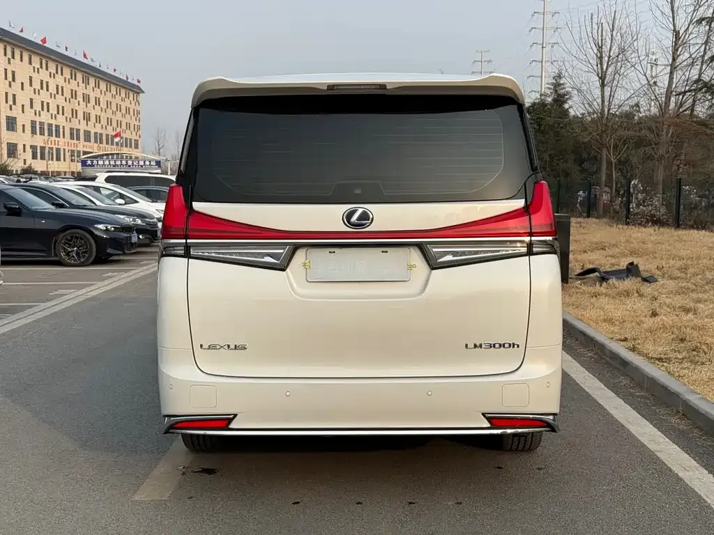 Lexus LM 2022 из CN, фото 5