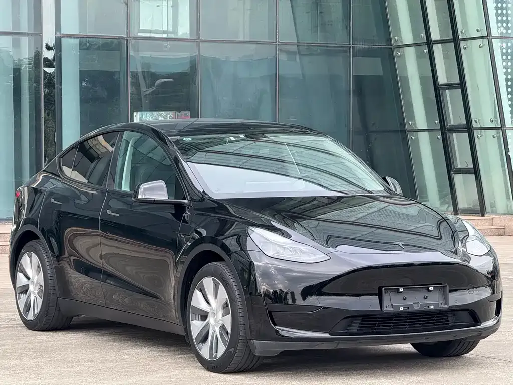 Tesla Model Y 2023 из CN, фото 5