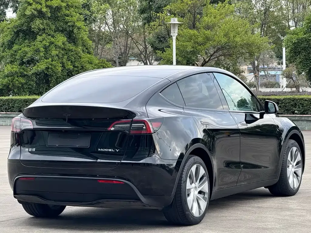 Tesla Model Y 2023 из CN, фото 7