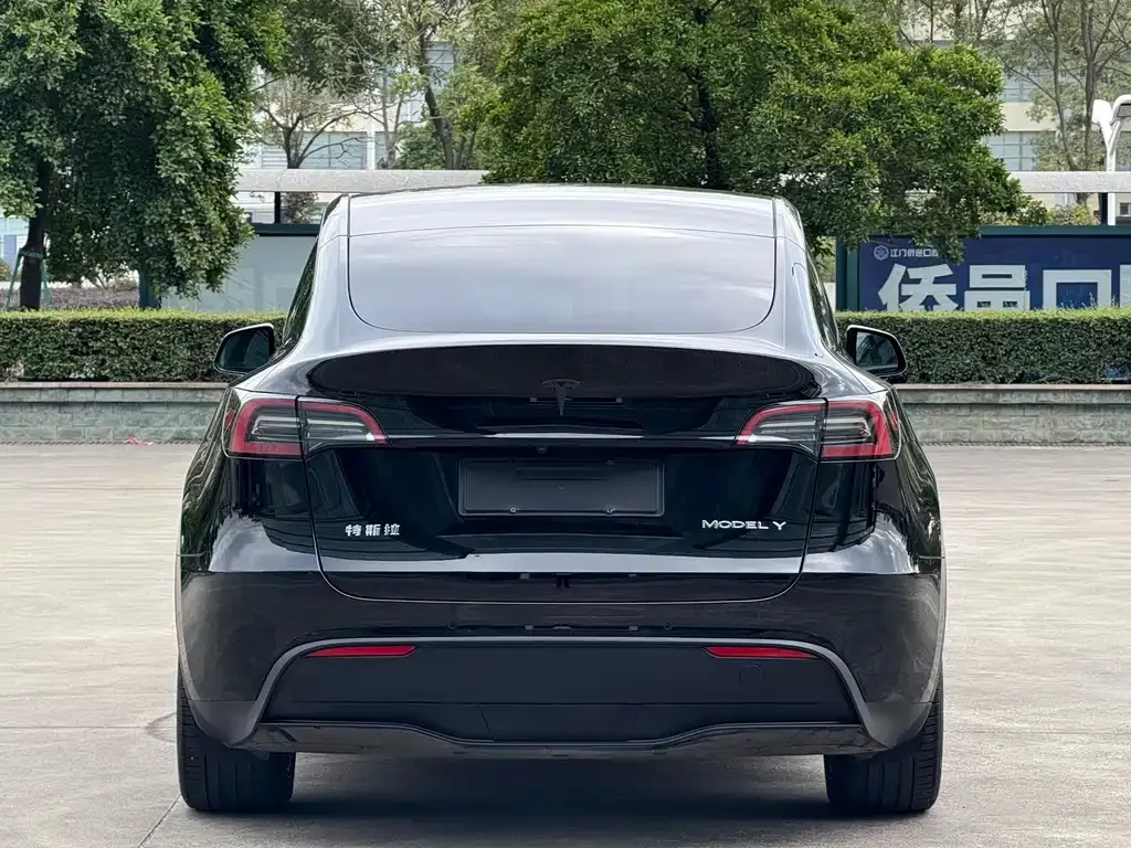 Tesla Model Y 2023 из CN, фото 8