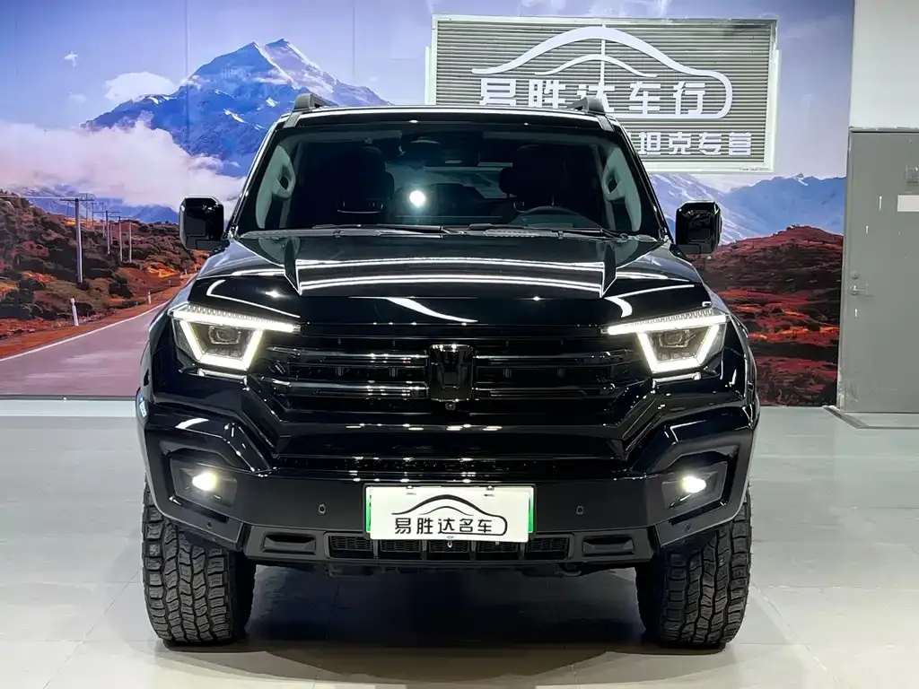 Tank 400 New Energy 2025 из CN, фото 9