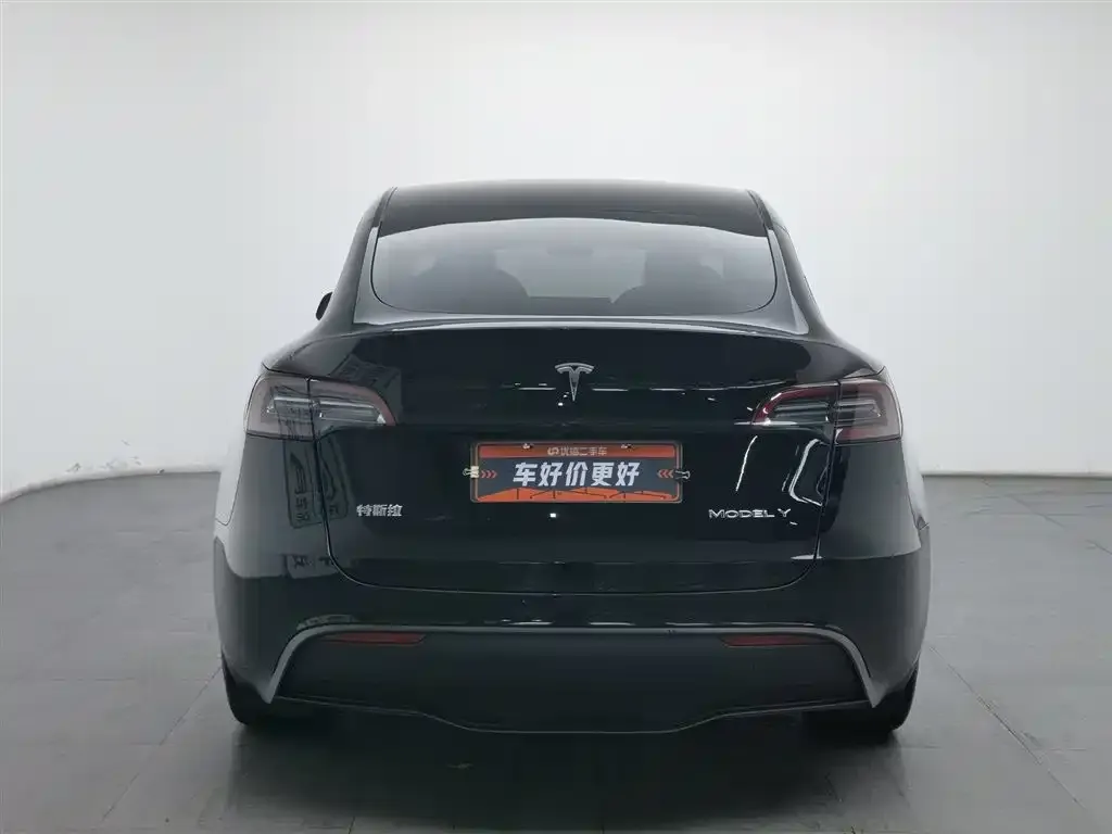 Tesla Model Y 2022 из CN, фото 2