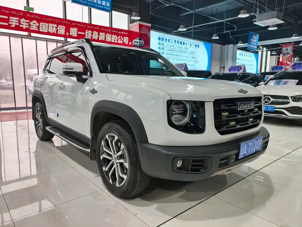 Haval Big Dog 2021 из CN, фото 10