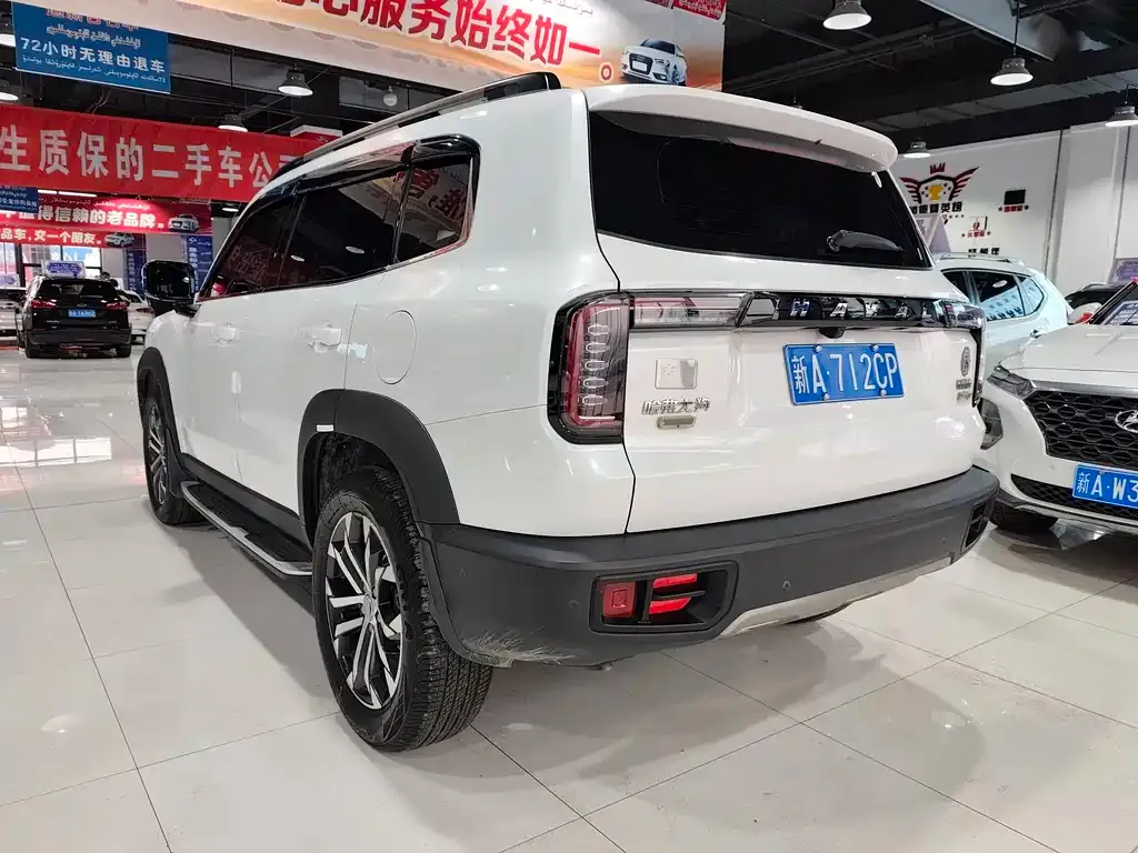 Haval Big Dog 2021 из CN, фото 9
