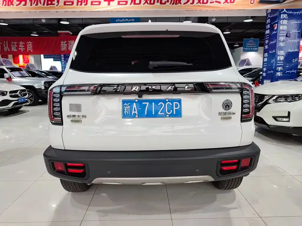 Haval Big Dog 2021 из CN, фото 5