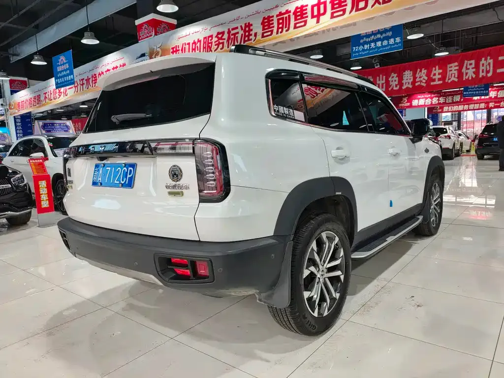 Haval Big Dog 2021 из CN, фото 8