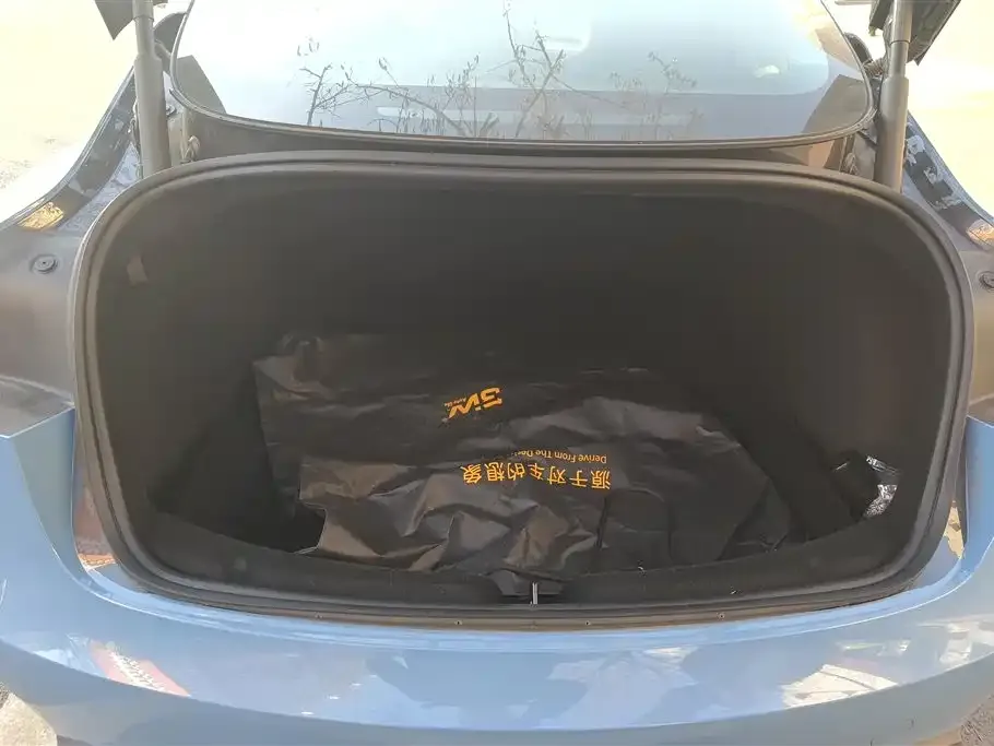 Tesla Model 3 2025 из CN, фото 3