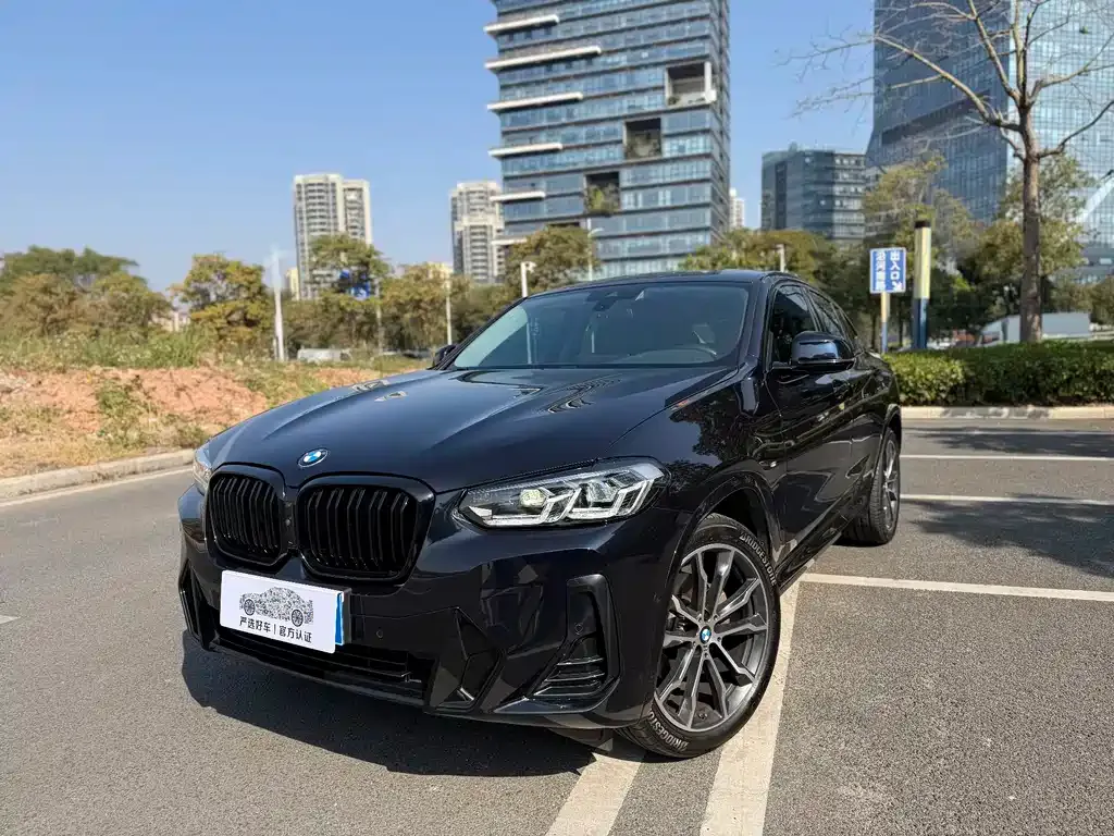 BMW X4 2023 из CN, фото 1