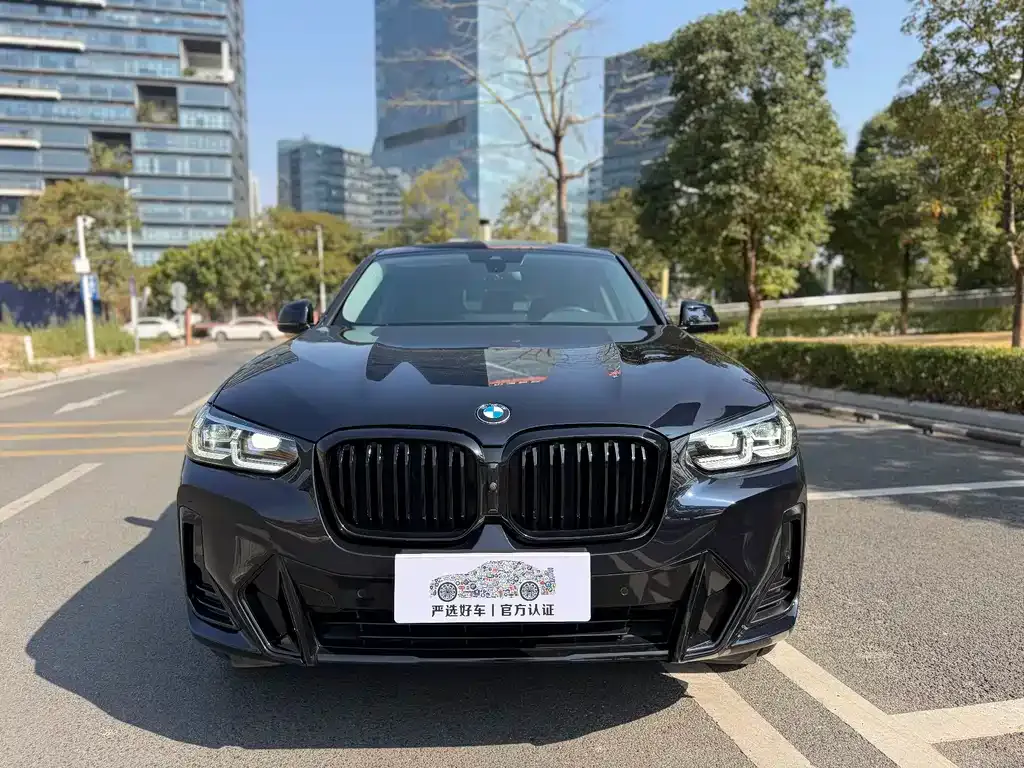 BMW X4 2023 из CN, фото 3