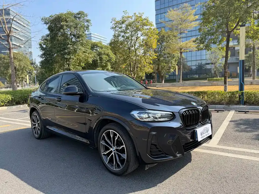 BMW X4 2023 из CN, фото 9