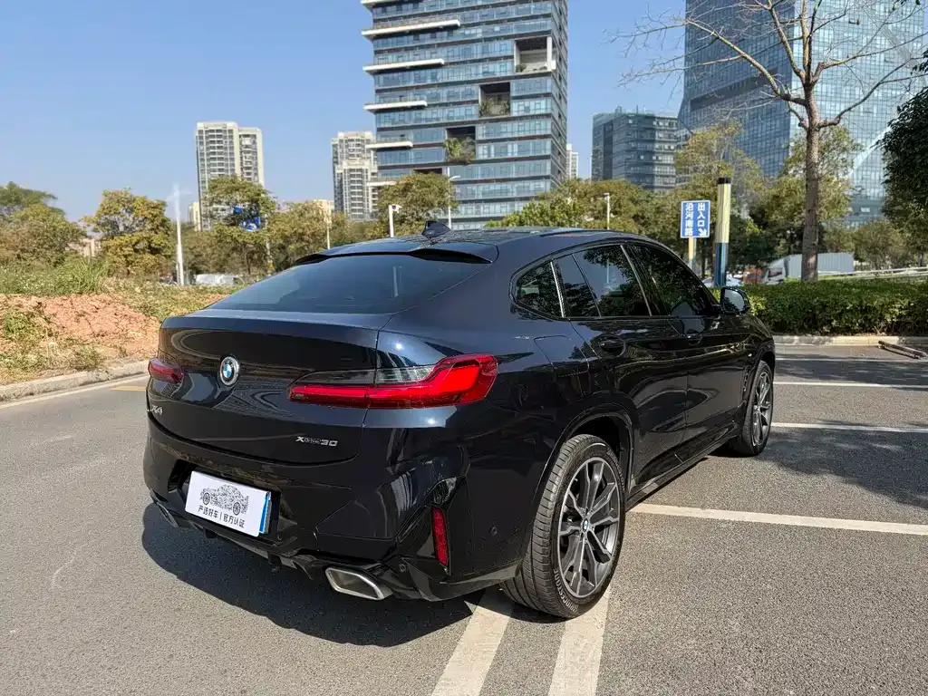 BMW X4 2023 из CN, фото 6